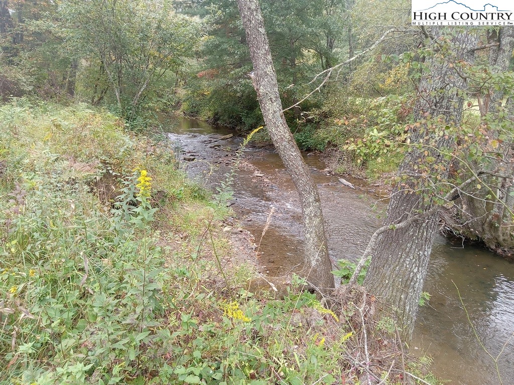 Tbd Big Peak Creek Road Property Photo 17