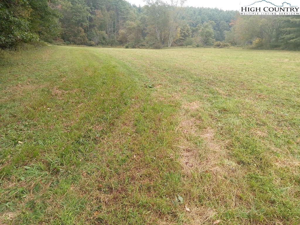 Tbd Big Peak Creek Road Property Photo 20