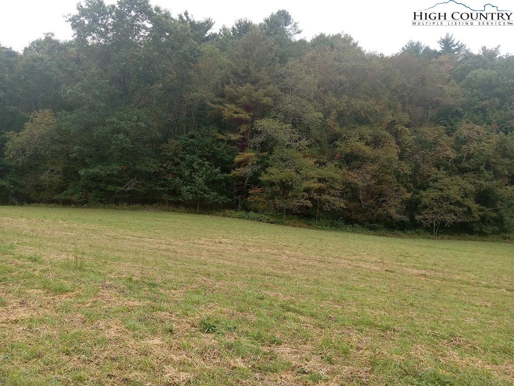 Tbd Big Peak Creek Road Property Photo 25