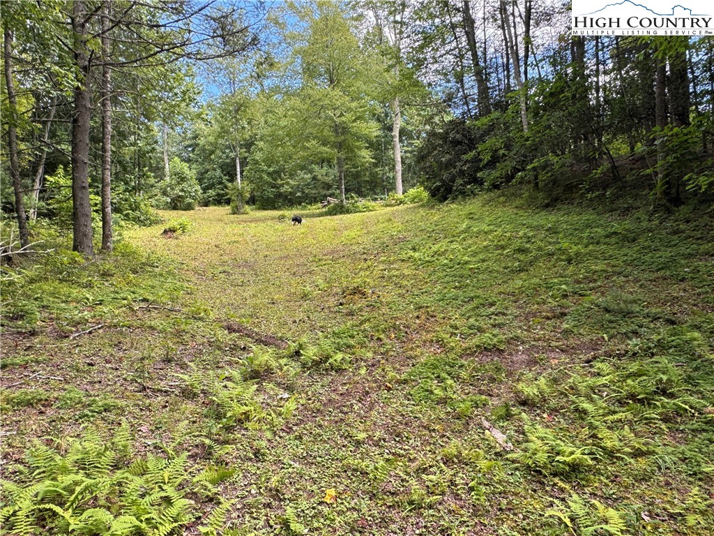 Tbd Bryan Davis Road Property Photo 2