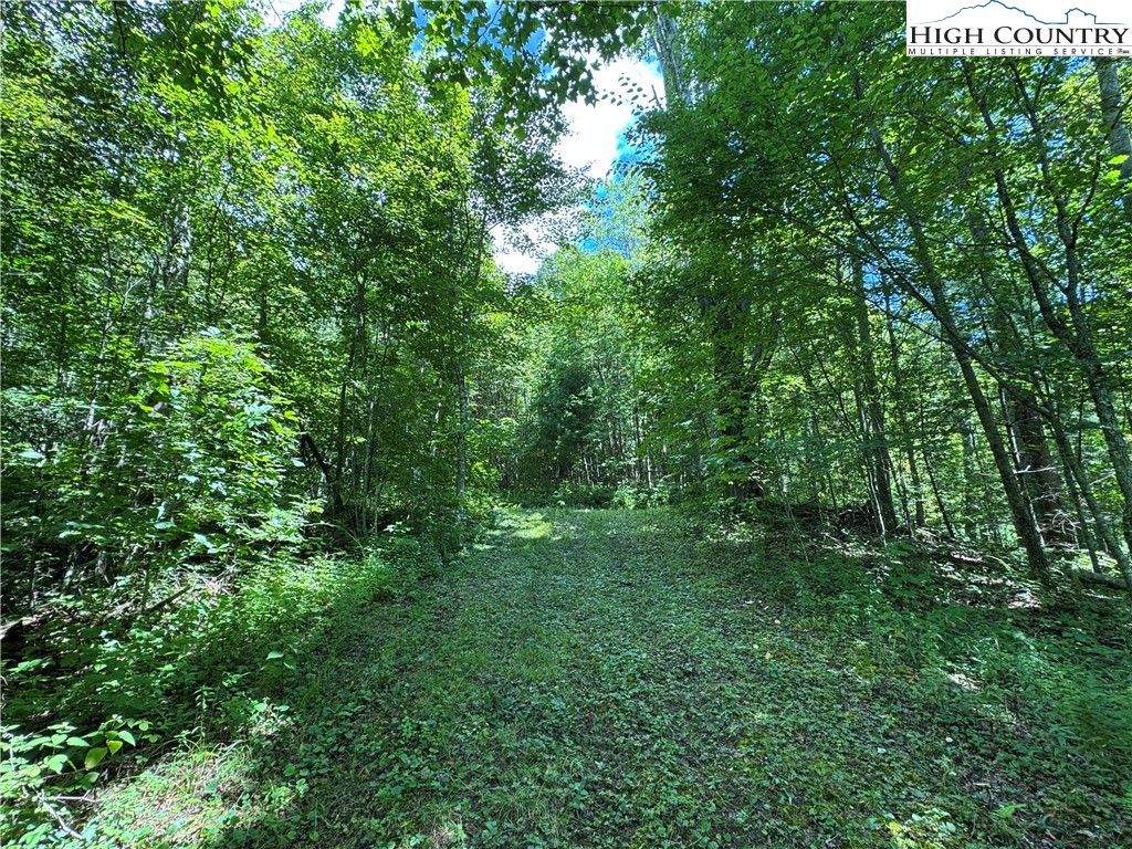 Tbd Bryan Davis Road Property Photo 8