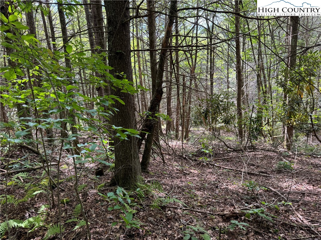 Tbd Bryan Davis Road Property Photo 11