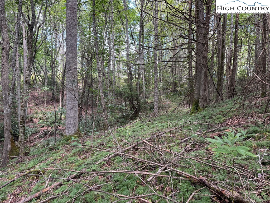 Tbd Bryan Davis Road Property Photo 12