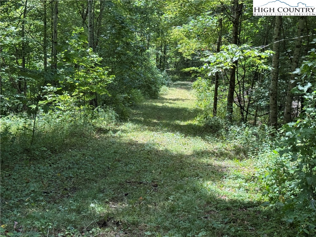 Tbd Bryan Davis Road Property Photo 13