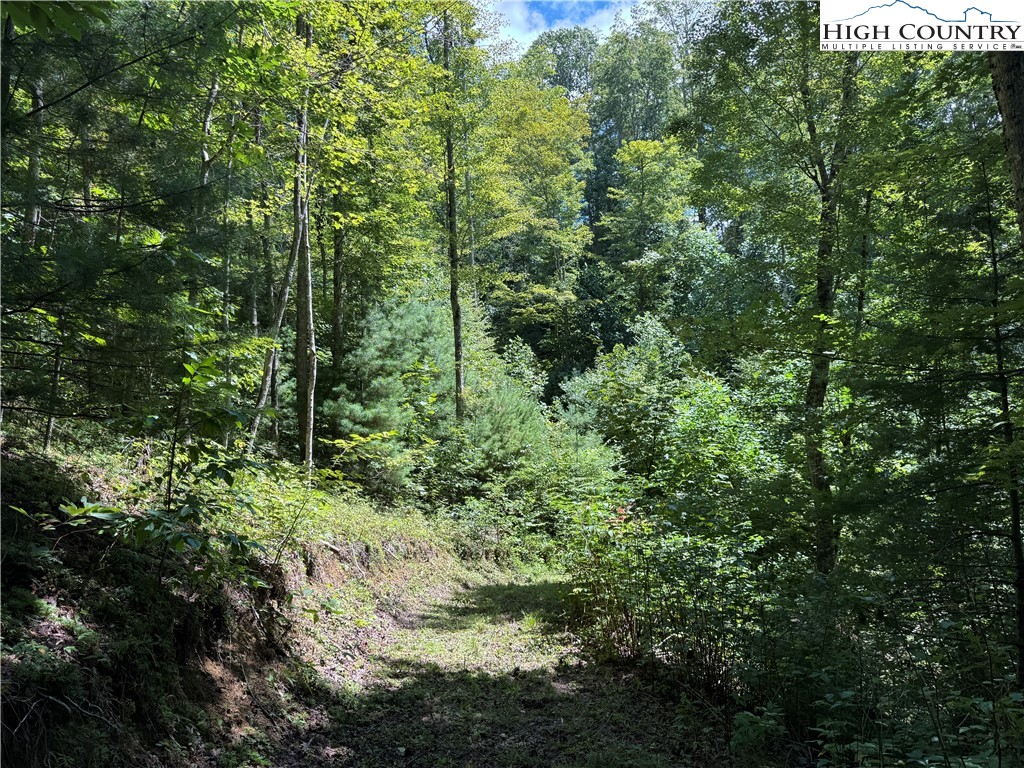 Tbd Bryan Davis Road Property Photo 19