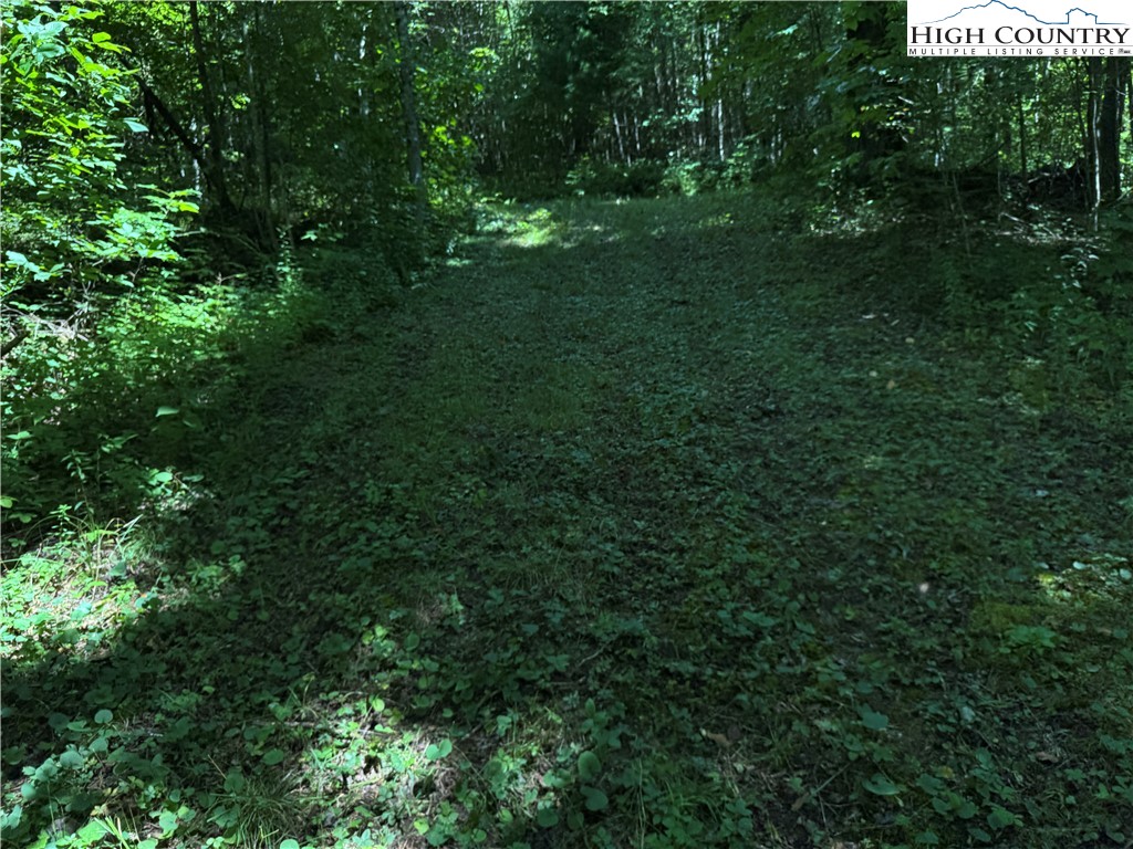 Tbd Bryan Davis Road Property Photo 20
