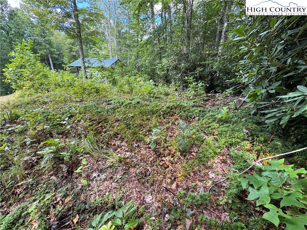 Tbd Bryan Davis Road Property Photo 21