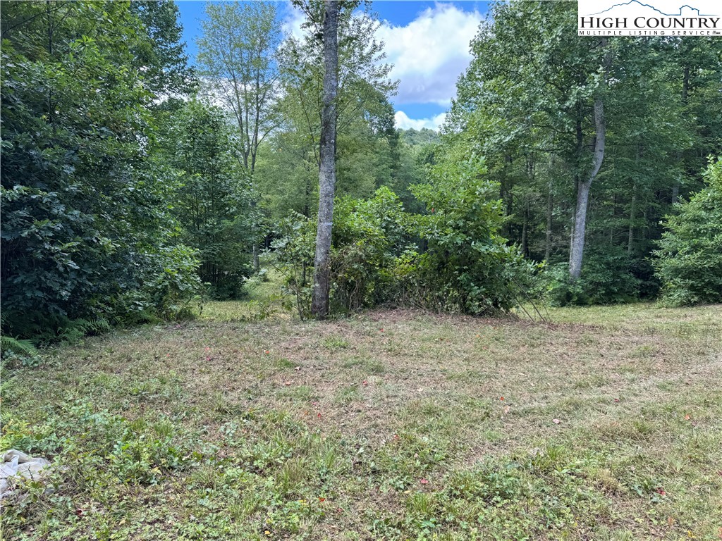 Tbd Bryan Davis Road Property Photo 22