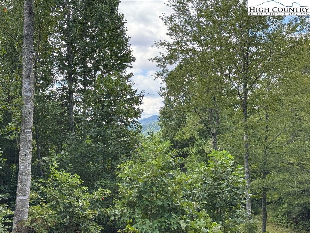 Tbd Bryan Davis Road Property Photo 23
