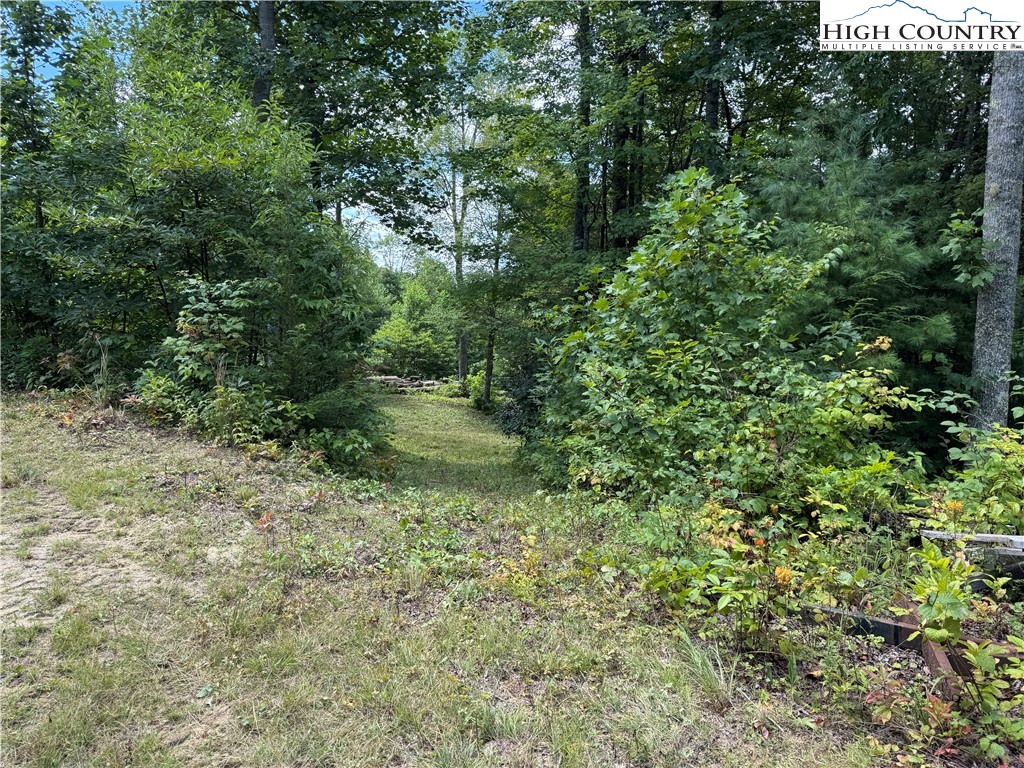 Tbd Bryan Davis Road Property Photo 26