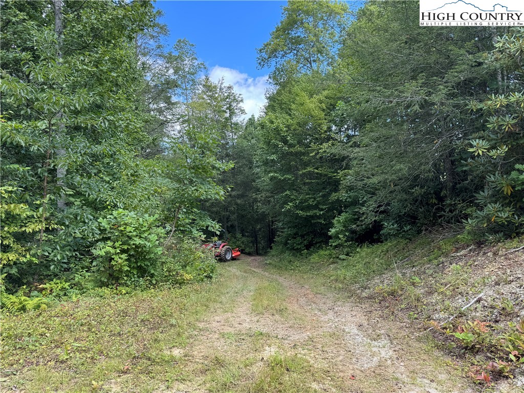 Tbd Bryan Davis Road Property Photo 27