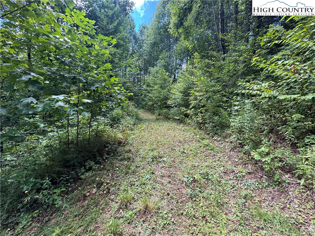 Tbd Bryan Davis Road Property Photo 28