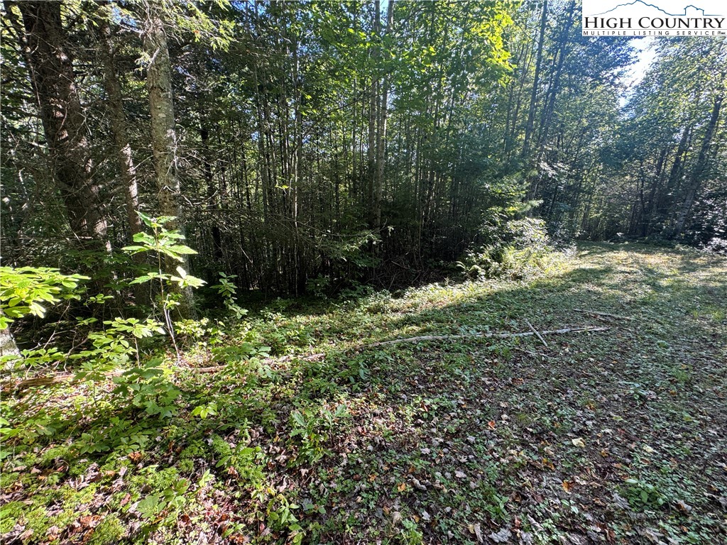 Tbd Bryan Davis Road Property Photo 29