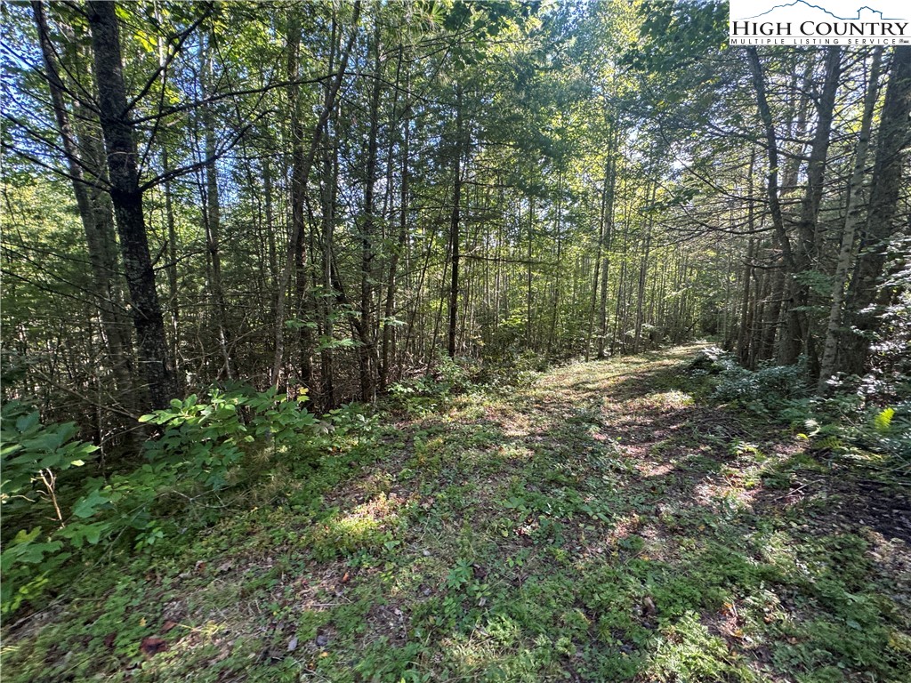 Tbd Bryan Davis Road Property Photo 30