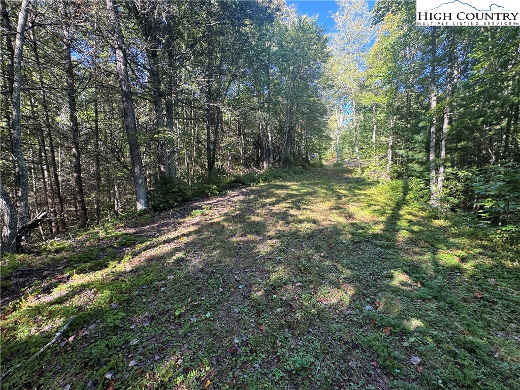 Tbd Bryan Davis Road Property Photo 31