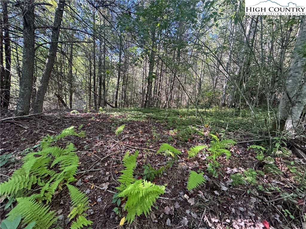 Tbd Bryan Davis Road Property Photo 32