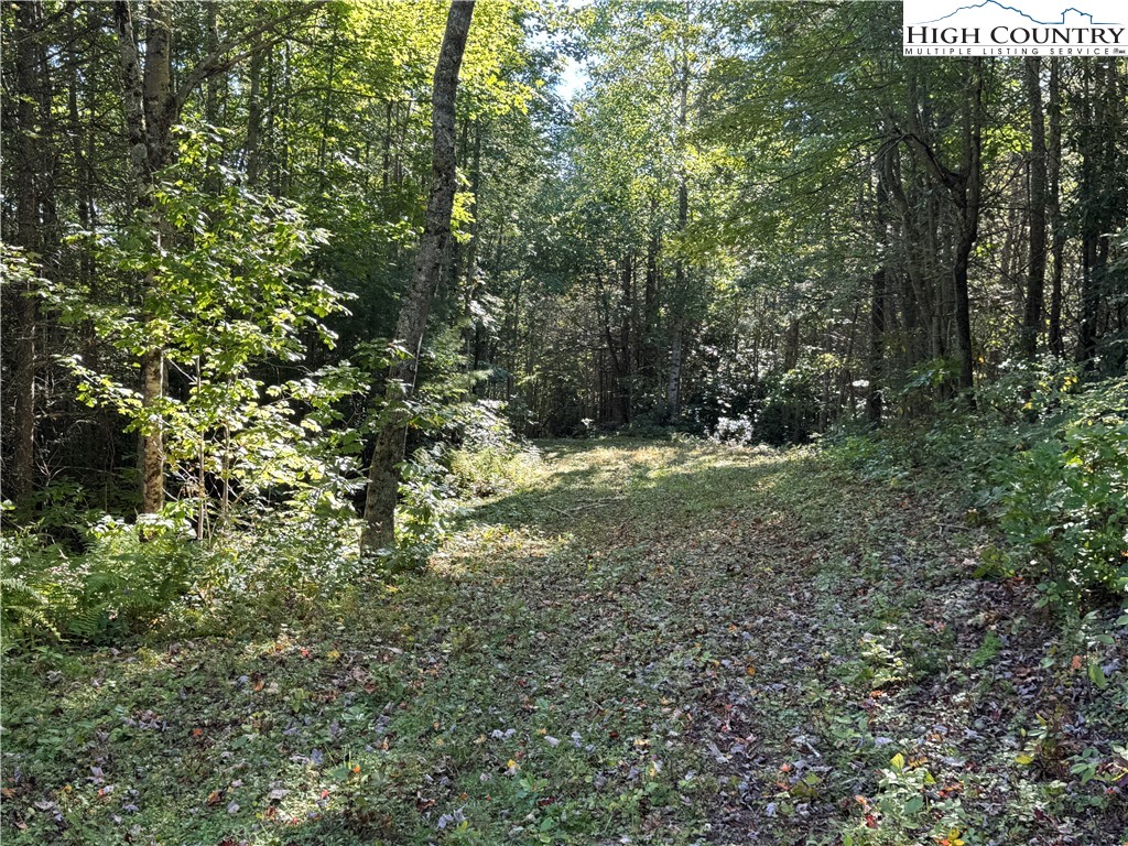 Tbd Bryan Davis Road Property Photo 33