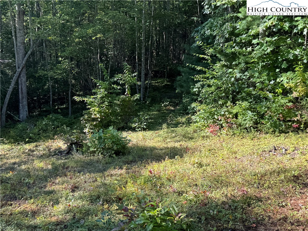 Tbd Bryan Davis Road Property Photo 35