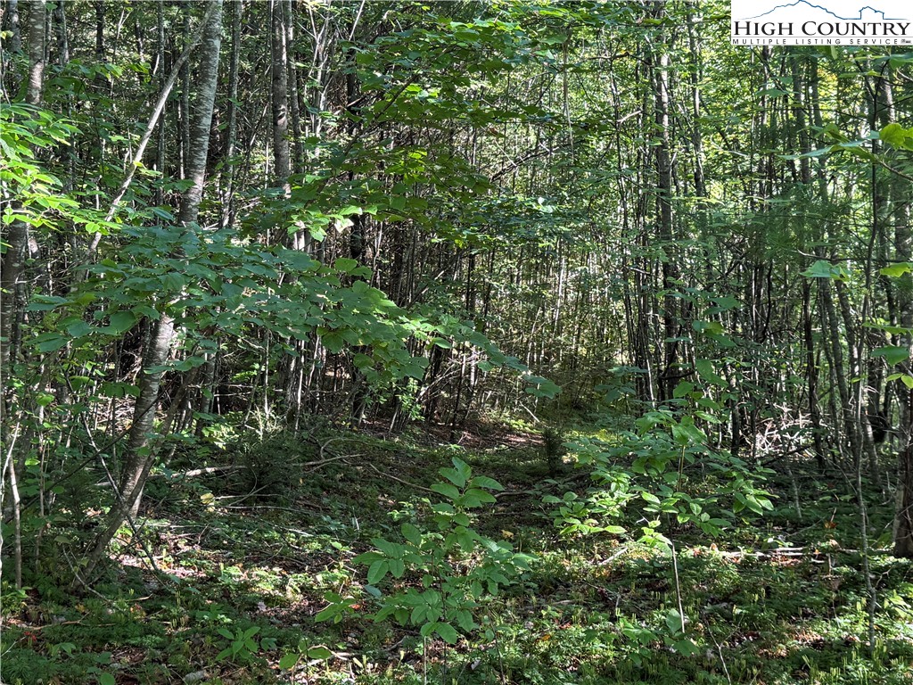 Tbd Bryan Davis Road Property Photo 37