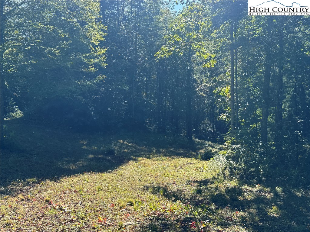 Tbd Bryan Davis Road Property Photo 39