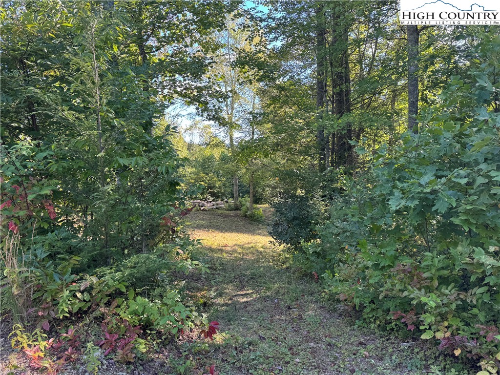 Tbd Bryan Davis Road Property Photo 41