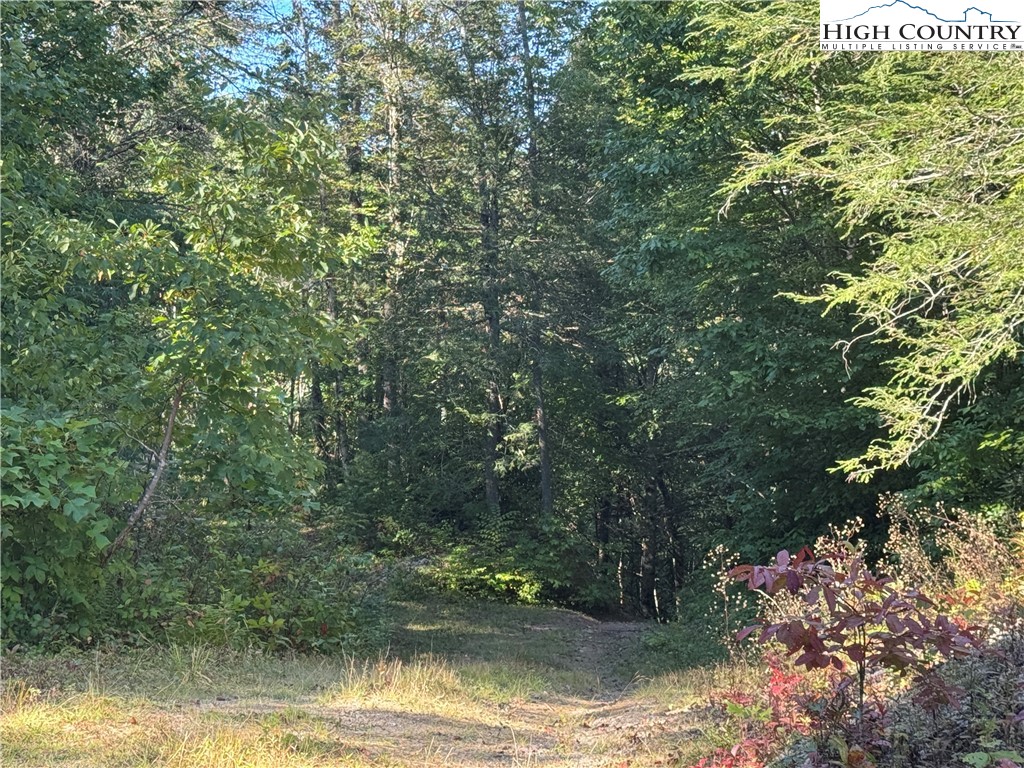 Tbd Bryan Davis Road Property Photo 42
