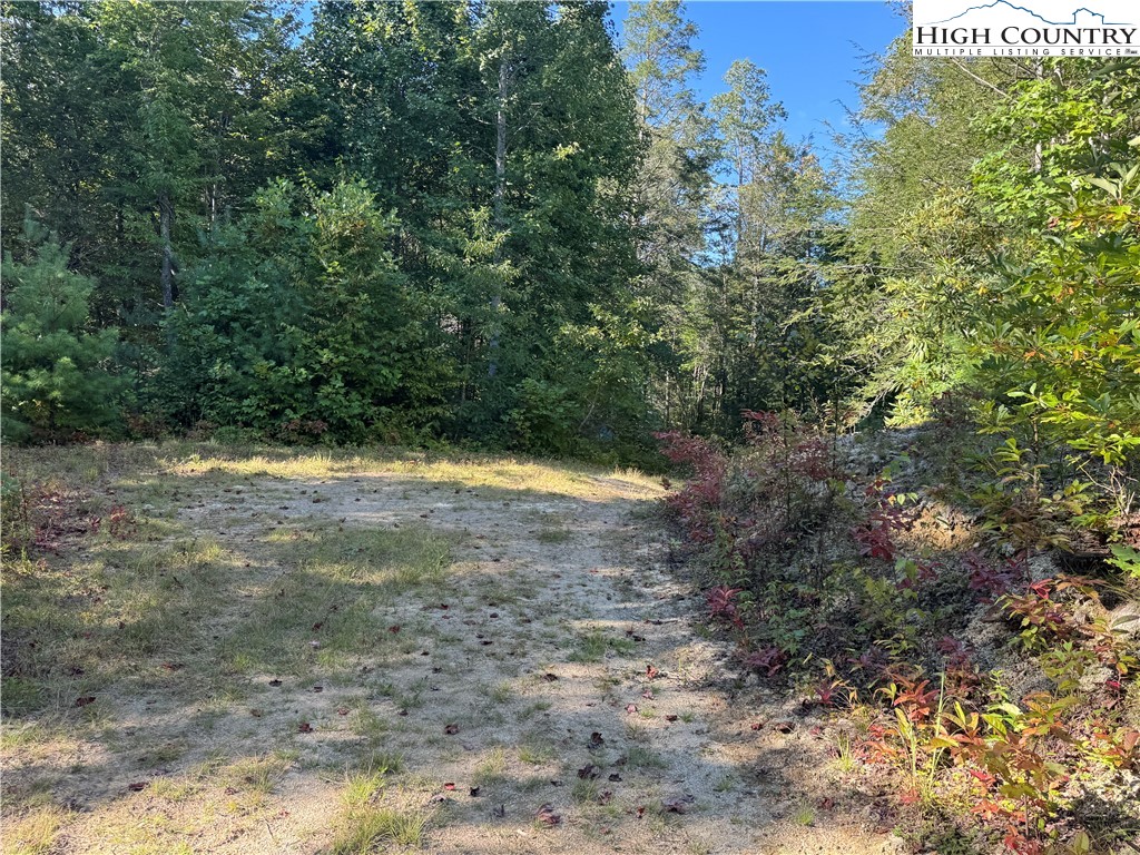 Tbd Bryan Davis Road Property Photo 43