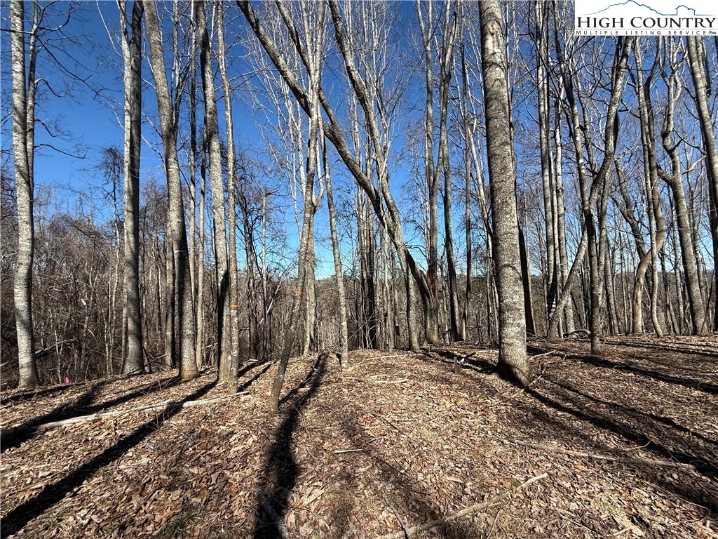 Tbd Highlands Trail Property Photo 4