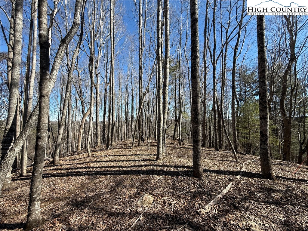 Tbd Highlands Trail Property Photo 5