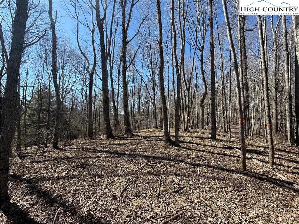 Tbd Highlands Trail Property Photo 8