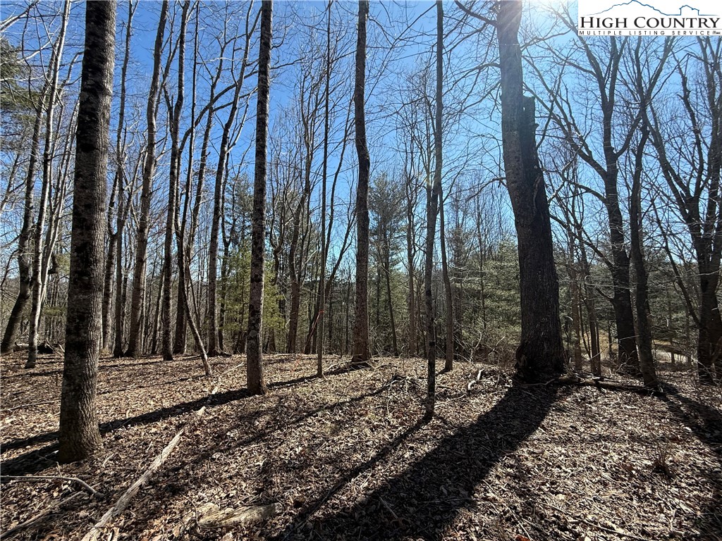 Tbd Highlands Trail Property Photo 9