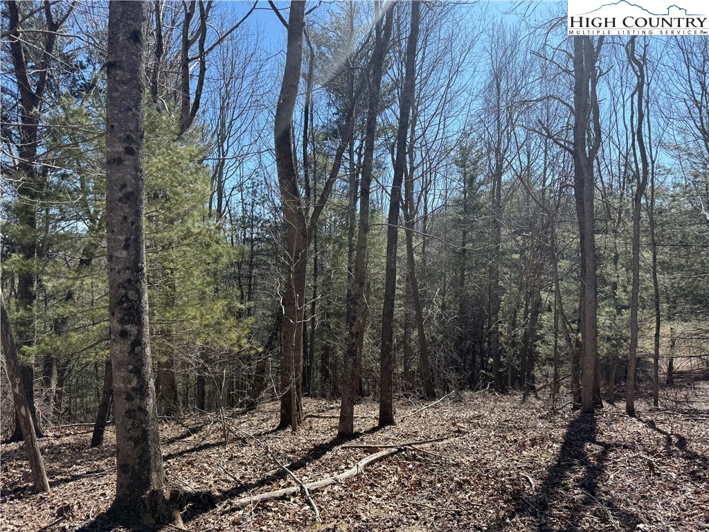 Tbd Highlands Trail Property Photo 11