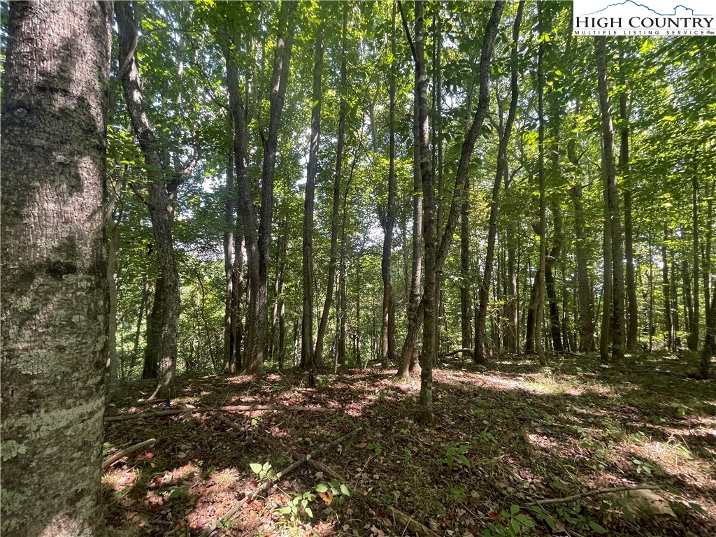 Tbd Highlands Trail Property Photo 12