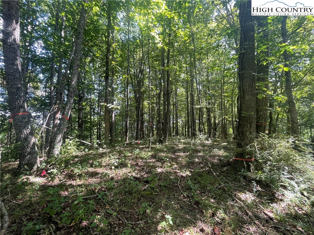 Tbd Highlands Trail Property Photo 13