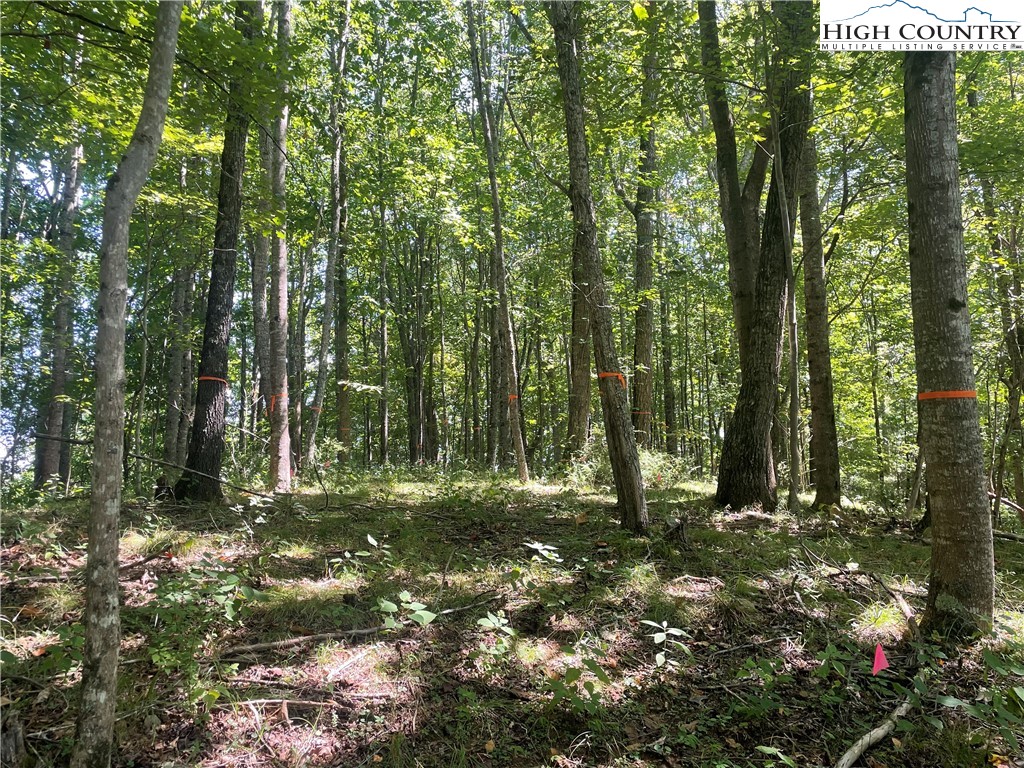 Tbd Highlands Trail Property Photo 13