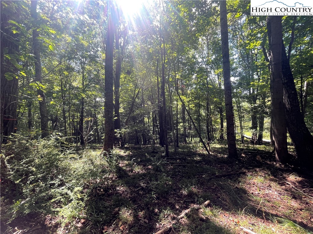 Tbd Highlands Trail Property Photo 14