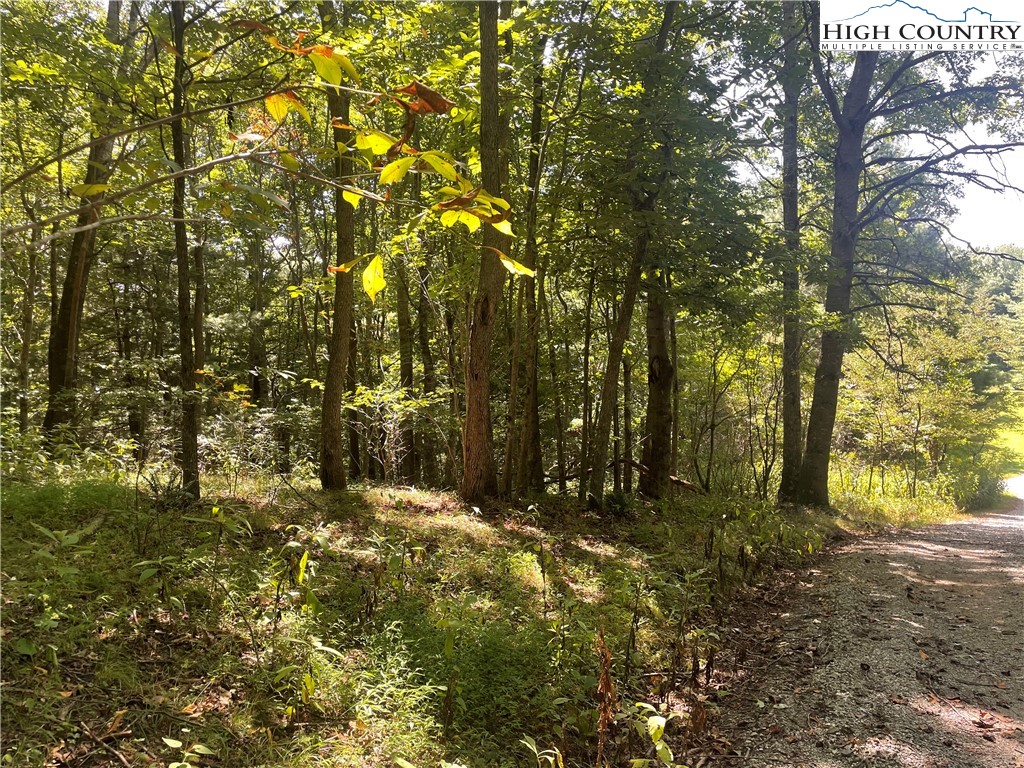 Tbd Highlands Trail Property Photo 14