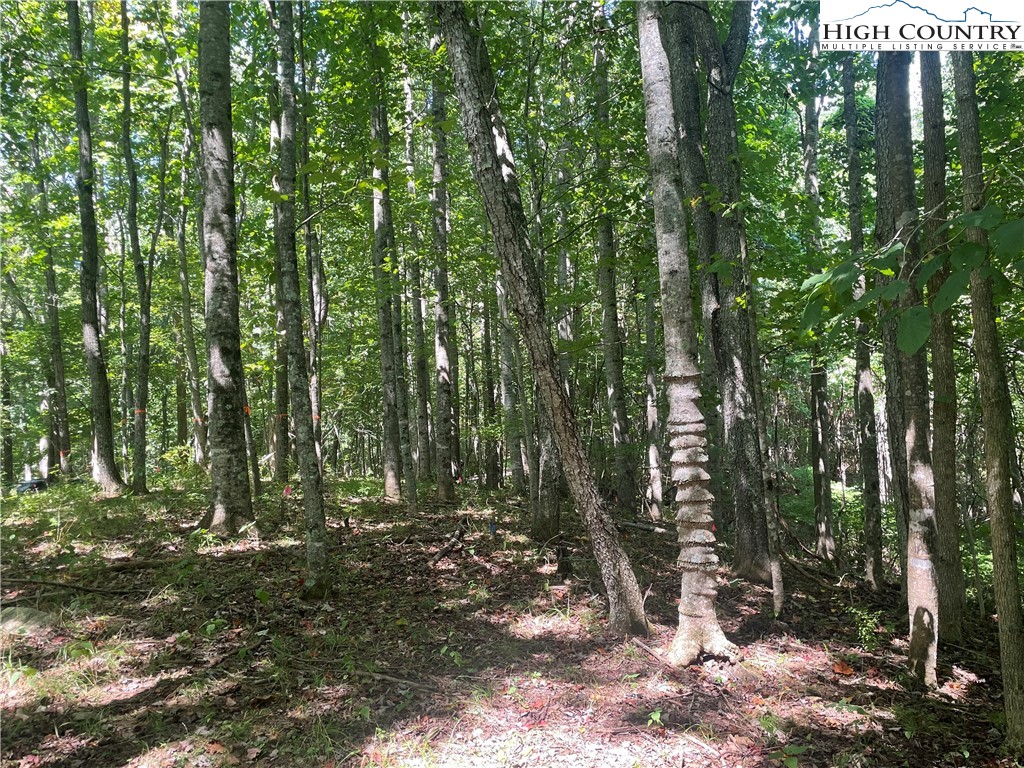 Tbd Highlands Trail Property Photo 17