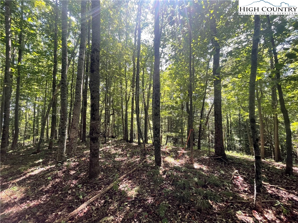Tbd Highlands Trail Property Photo 17
