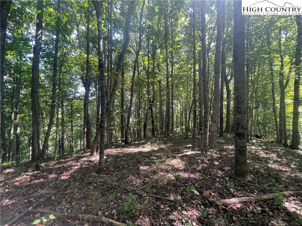 Tbd Highlands Trail Property Photo 18