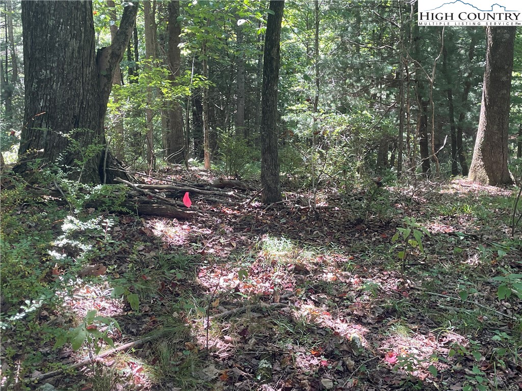 Tbd Highlands Trail Property Photo 20