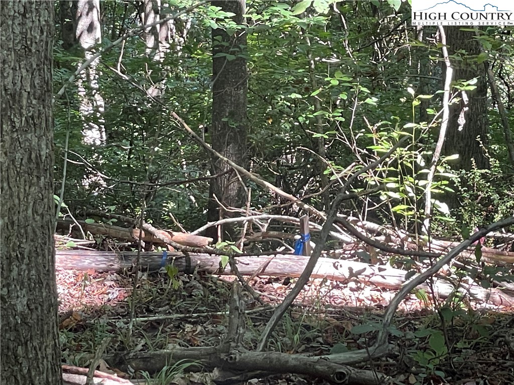 Tbd Highlands Trail Property Photo 20