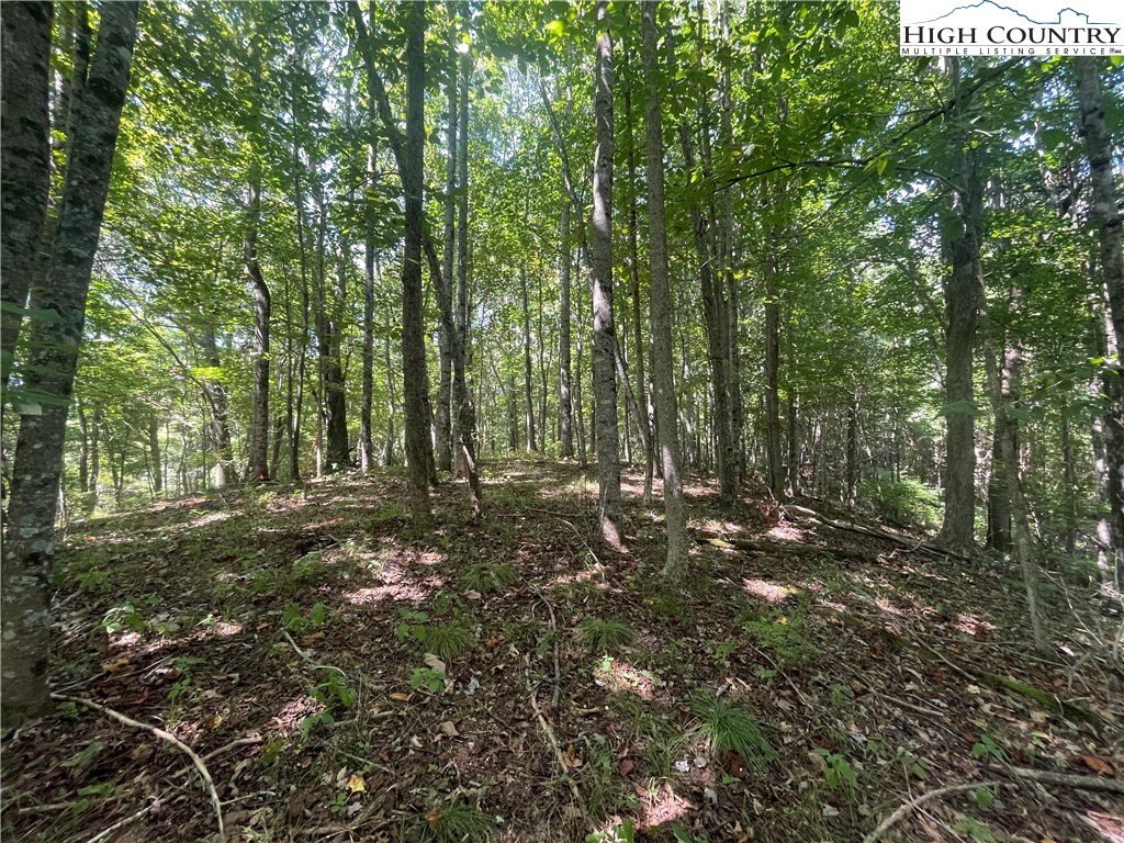 Tbd Highlands Trail Property Photo 21