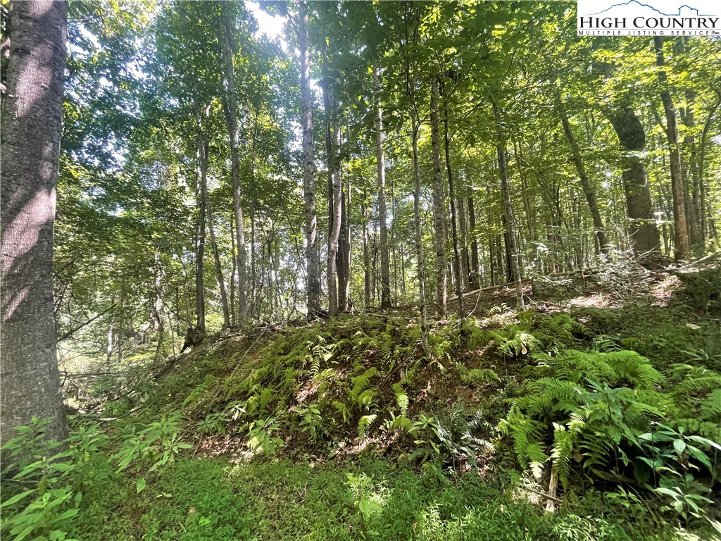 Tbd Highlands Trail Property Photo 23