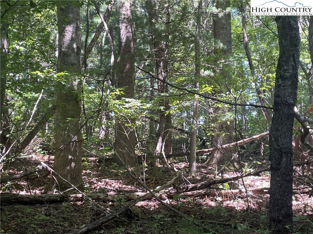 Tbd Highlands Trail Property Photo 24