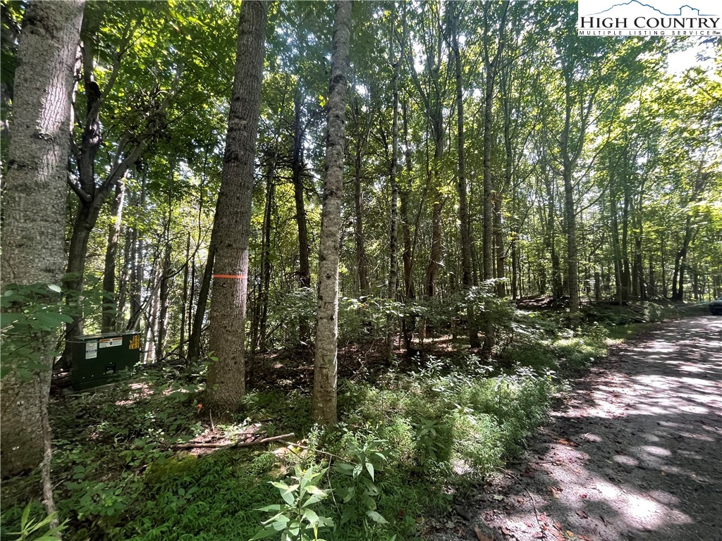 Tbd Highlands Trail Property Photo 25