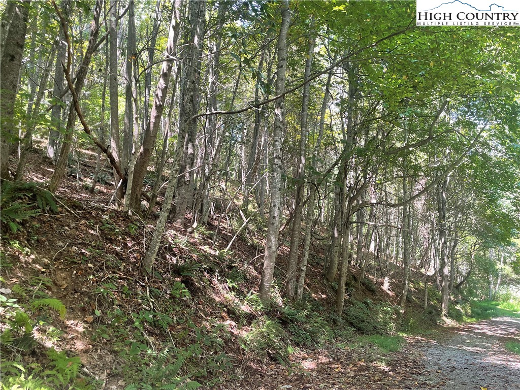 Tbd Highlands Trail Property Photo 27