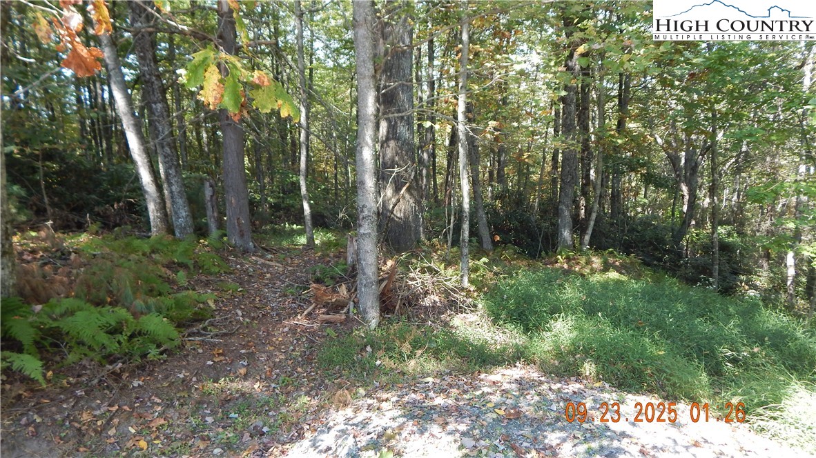 000 Glen View Road Property Photo 1