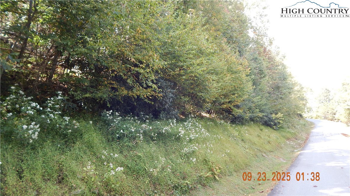 000 Glen View Road Property Photo 5