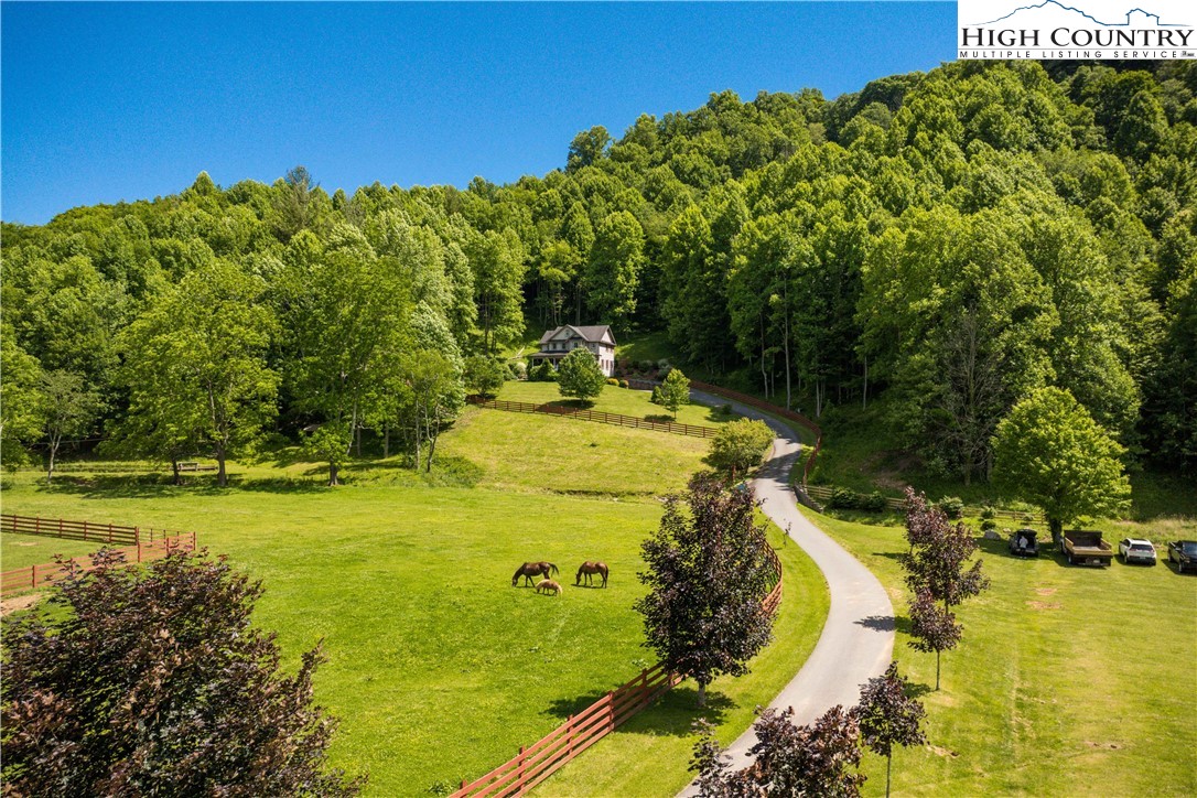 1527 Mabel School Road Property Photo 49